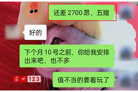 红桥贷款清欠服务